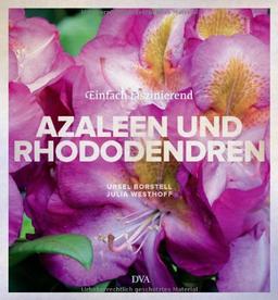 Azaleen und Rhododendren: Einfach faszinierend