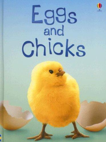 Eggs and Chicks (Usborne Beginners)