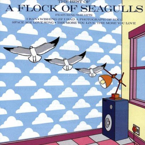 Best of Flock of Seagulls