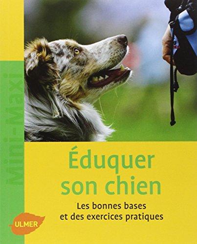 Eduquer son chien : les bonnes bases et les exercices quotidiens