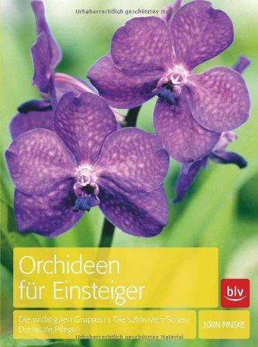 Orchideen für Einsteiger: Die wichtigsten Gruppen · Die schönsten Sorten · Die beste Pflege