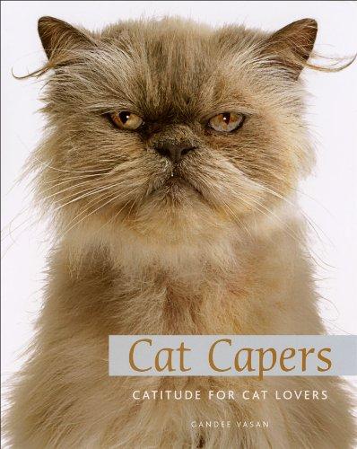 Cat Capers: Catitude for Cat Lovers