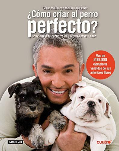 Cómo criar al perro perfecto (SIN CODIFICAR)