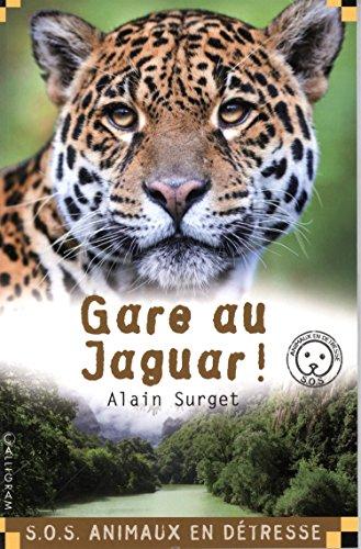 Gare au jaguar !