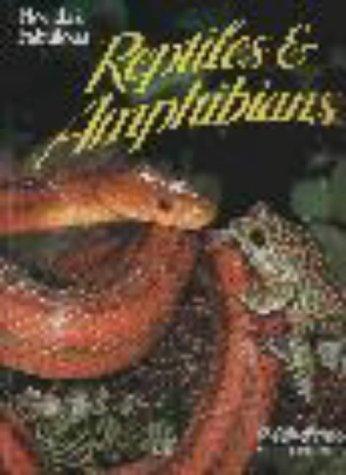 Florida's Fabulous Reptiles and Amphibians: Snakes, Lizards, Alligators, Frogs, and Turtles