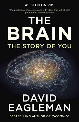 The Brain: The Story of You