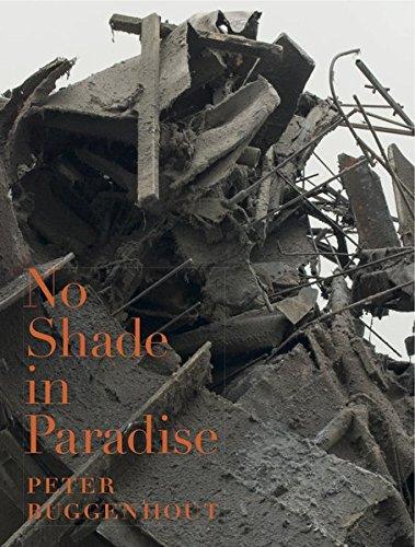 Peter Buggenhout. Kein Schatten im Paradies / No Shade in Paradise: Ausst.Kat. Neues Museum, Nürnberg