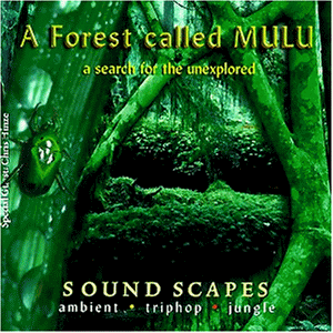 A Forest Called Mulu