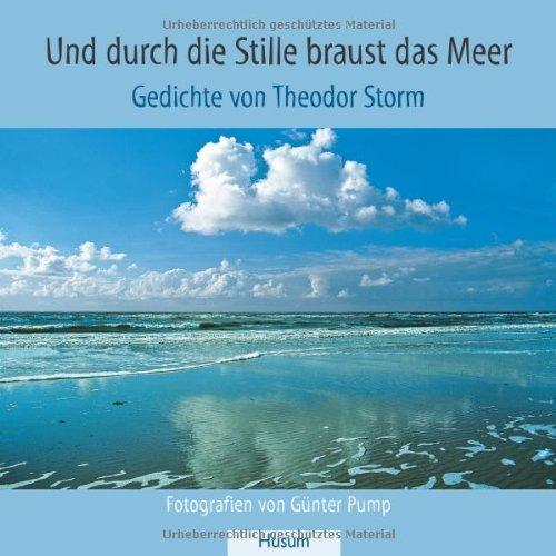 Und durch die Stille braust das Meer: Gedichte von Theodor Storm