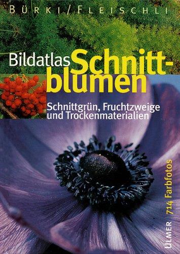 Bildatlas Schnittblumen. Schnittgrün, Fruchtzweige und Trockenmaterialien