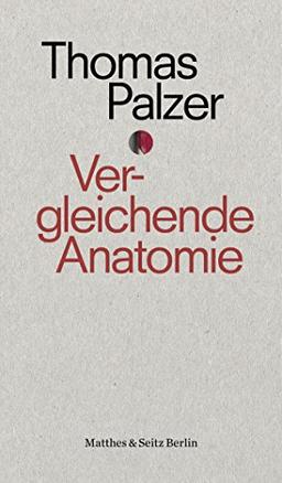 Vergleichende Anatomie: Eine Geschichte der Liebe (punctum)