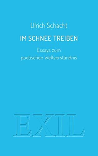 Im Schnee treiben: Essays zum poetischen Weltverständnis (EXIL)