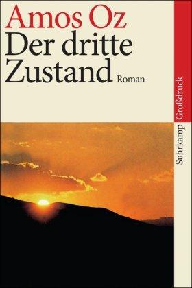 Der dritte Zustand: Roman. Großdruck (suhrkamp taschenbuch)