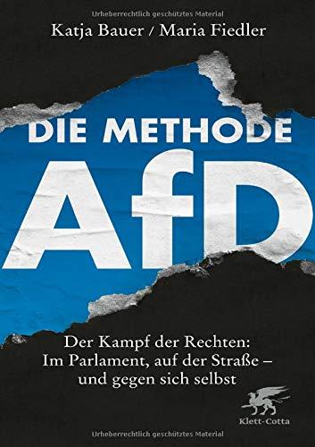 Die Methode AfD: Der Kampf der Rechten: Im Parlament, auf der Straße - und gegen sich selbst