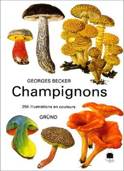 Champignons