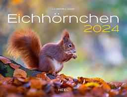 Eichhörnchen Eintragkalender 2024: Spektakuläre Bilder der neugierigen und putzigen Nager