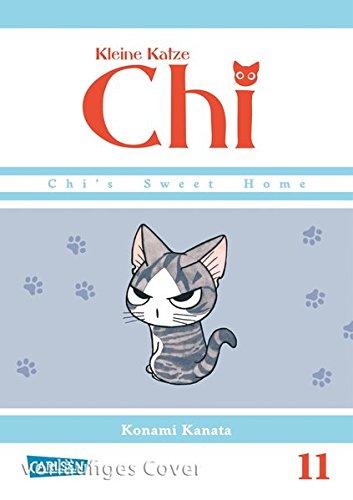 Kleine Katze Chi 11