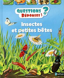 Insectes et petites bêtes