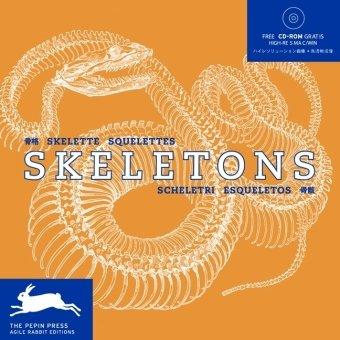 Squelettes. Skelette. Skeletons