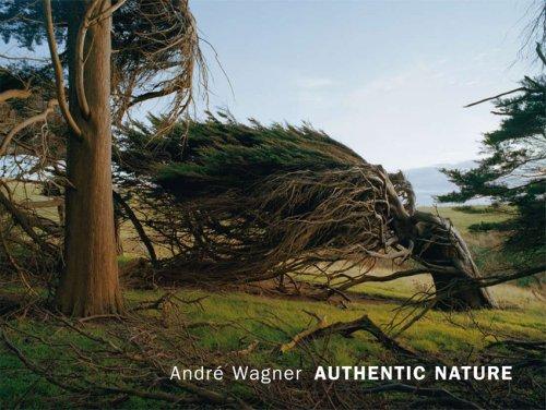 Authentic Nature