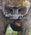 Ein Affenbaby entdeckt die Welt