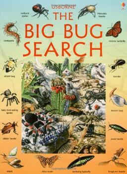 The Big Bug Search (Great Searches (EDC Paperback))