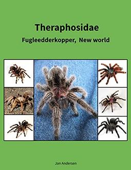 Theraphosidae: Fugleedderkopper, New world