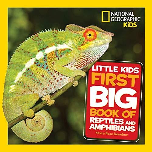 Mein großes Buch der Reptilien und Amphibien: National Geographic KiDS