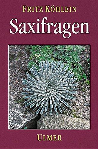 Saxifragen und andere Steinbrechgewächse