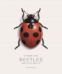 Bernard Durin Beetles and Other Insects