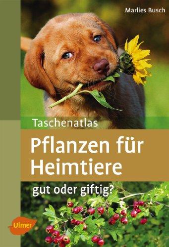 Taschenatlas Pflanzen für Heimtiere: Gut oder giftig?