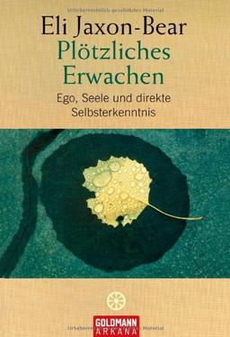 Plötzliches Erwachen: Ego, Seele und direkte Selbsterkenntnis