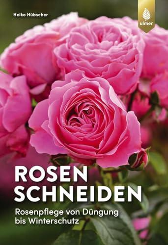 Rosen schneiden: Rosenpflege von Düngung bis Winterschutz