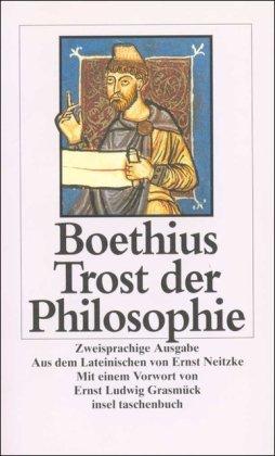 Trost der Philosophie (insel taschenbuch)