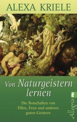 Von Naturgeistern lernen: Die Botschaften von Elfen, Feen und anderen guten Geistern