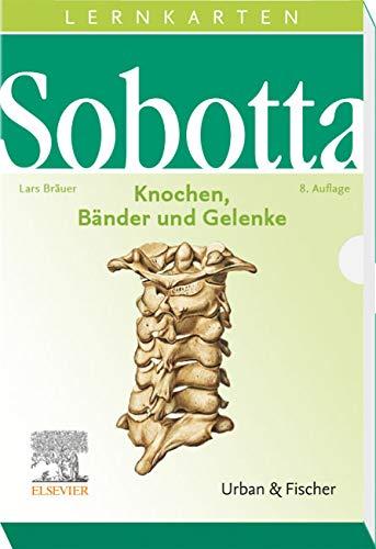 Sobotta Lernkarten Knochen, Bänder und Gelenke: Knochen, Bänder, Gelenke