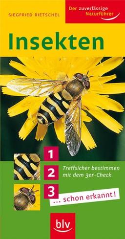 Insekten: Treffsicher bestimmen mit dem 3er-Check 1... 2... 3... schon erkannt!