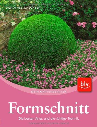 Formschnitt: Die besten Arten und die richtige Technik