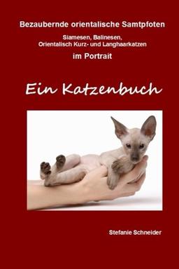 Bezaubernde orientalische Samtpfoten im Portrait - Ein Katzenbuch: Siamesen, Balinesen, Orientalisch Kurz- und Langhaarkatzen