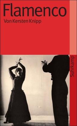 Flamenco (suhrkamp taschenbuch)