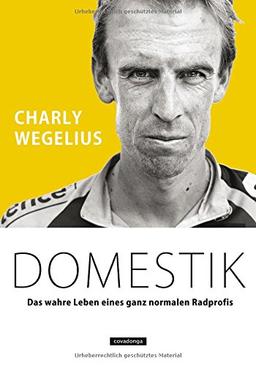 Domestik