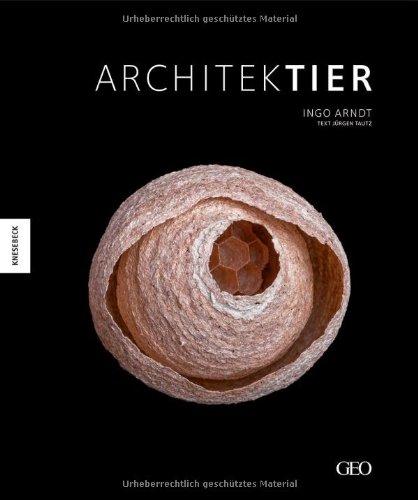 Architektier: Baumeister der Natur