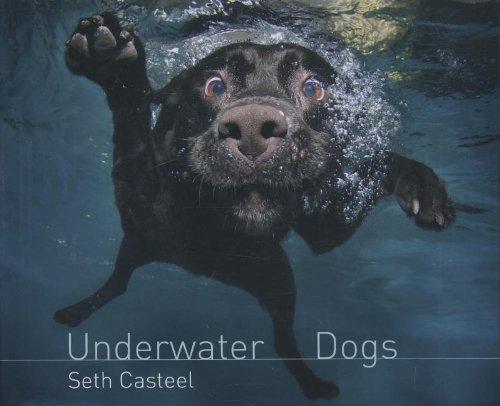 Underwater Dogs