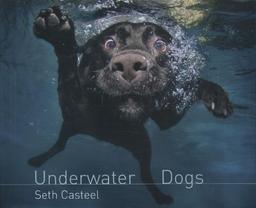 Underwater Dogs