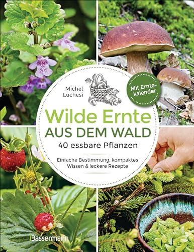 Wilde Ernte aus dem Wald - 40 essbare Pflanzen - einfache Bestimmung, kompaktes Wissen und leckere Rezepte: Standorte, Geschmack, Erntetipps und Sicherheitshinweisen. Mit Erntekalender