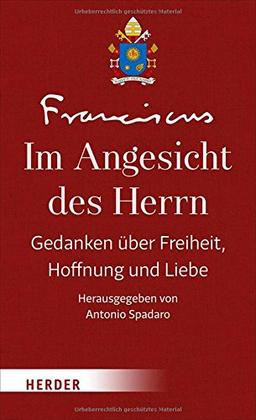 Im Angesicht des Herrn: Gedanken über Freiheit, Hoffnung und Liebe - Band I