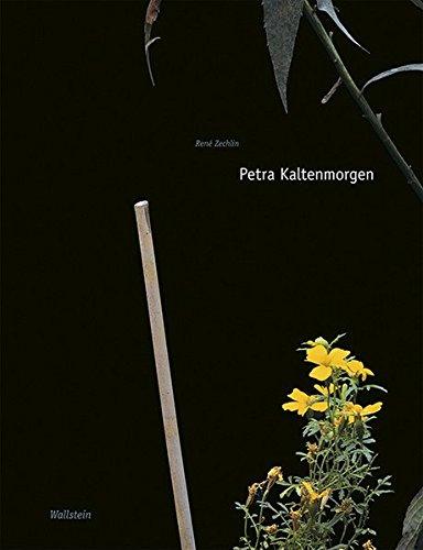 Petra Kaltenmorgen (Kunst der Gegenwart aus Niedersachsen)