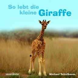 So lebt die kleine Giraffe