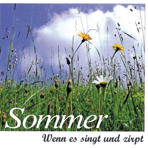 Sommer: Wenn es singt und zirpt