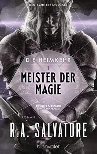 Die Heimkehr 1 - Meister der Magie: Roman